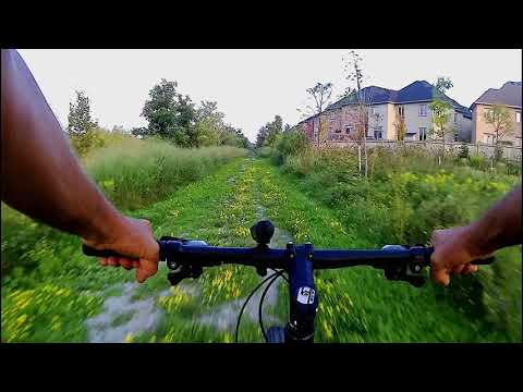 Feiyu Tech WG Mini Review with $20 4K Action Cam!