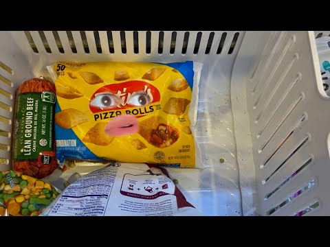 Life of A Pizza Roll