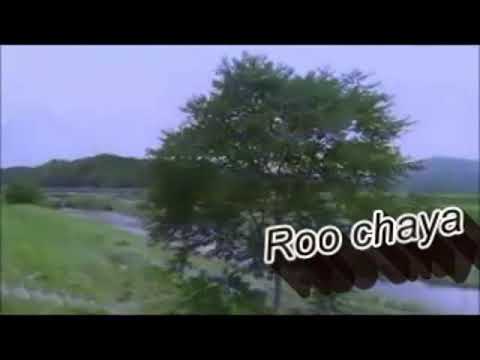 Roo Chaya song