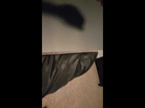 msi gt72 2qe dominator pro nvidia 980m