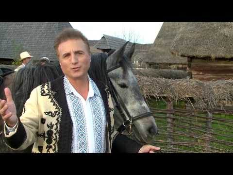 Constantin Enceanu   Anii care ii am acuma