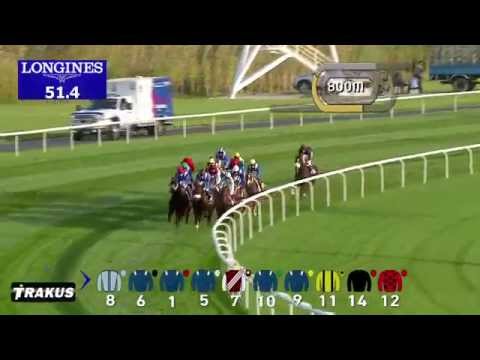 14.02.2015 Meydan (Dubai/UAE) 5.Race Xpress - Handicap  1.600 m