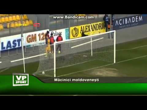 Măcinici moldovenești
