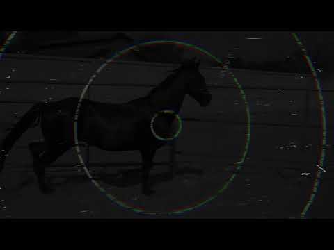 Ioan Muraru: Cavalcadă ( Radu Gyr )