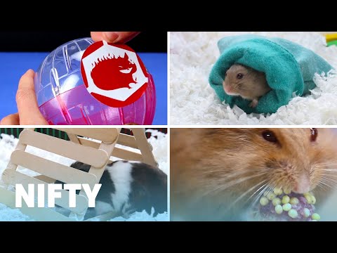 Cute And Cuddly DIY Projects For Your Hamster