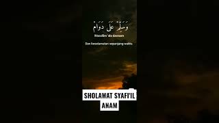 Download lagu SHOLAWAT SYAFI'IL ANAM mp3