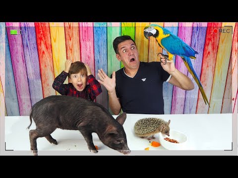 ЧЕЛЛЕНДЖ Мармеладная Еда против Настоящих Животных New Challenge Gummy Food vs Real Animals