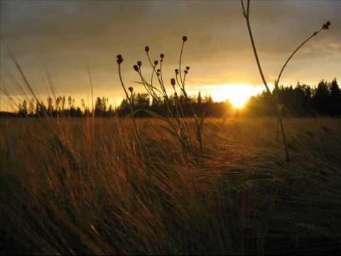 Emi Fujita - Fields Of Gold (lyrics)