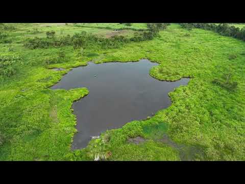 LAGUNA CHUNATAWAS DISTRITO LA MORADA, MARAÑON, HUANUCO