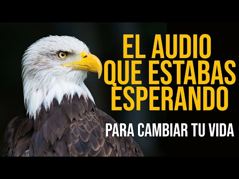 ESTE AUDIO CAMBIARA TU VIDA PARA SIEMPRE / JUAN SALVADOR GAVIOTA