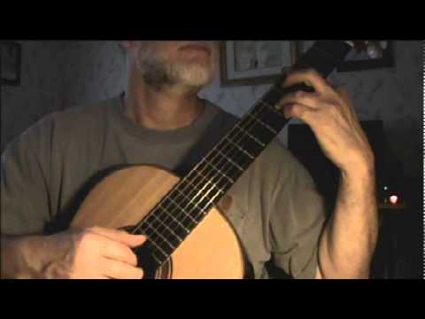 The Wicked Flee - Fingerstyle Guitar