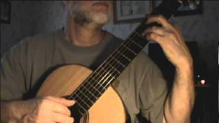 The Wicked Flee - Fingerstyle Guitar