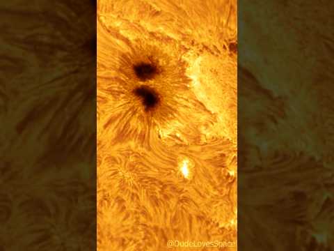 Very Big Sunspot 4079 Close Up! // Captured from My Backyard #astronomy #solarsystem #space