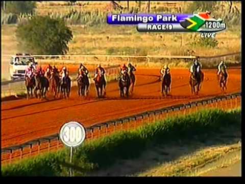 2013-05-13 Flamingo Park - race 9