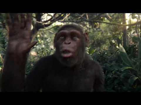 Nenad Filčić - Vlaški rep - parodija