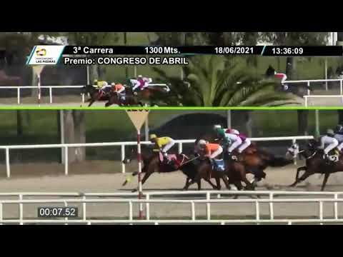 NAPOLEON BONAPARTE (INVASOR)