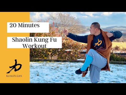 2021 | Shaolin Kung Fu & Qi Gong -  Workout - 20 Minutes