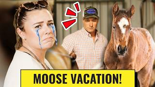 We Had To Leave Our Biggest Foal At The Vet... (Mare Breeding Checks)