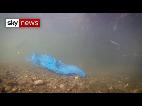 River Mersey is 'more polluted than Great Pacific Garbage Patch'