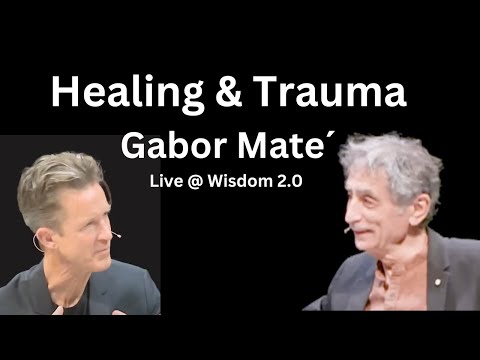 Gabor Maté Interview @ Wisdom  2.0 with Soren Gordhamer