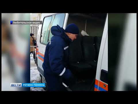 Сотрудники МЧС спасли голубя