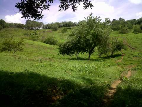 Golfo de Morrosquillo - Superbanda de Colomboy