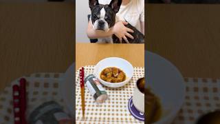 フレブルが飛び乗る程、美味しいそうな食べ物がこちらです