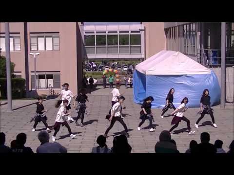 Hip - 2016海遊祭 Day2