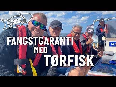 Fangstgaranti på fisketur med Tørfisk