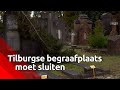 Begraafplaats in Tilburg staat vol onkruid, nabestaanden zijn boos