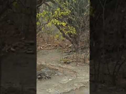 Sitio arqueológico de Guaytan. San Agustín Acasaguastlan, El Progreso. #travel #nature #turismo