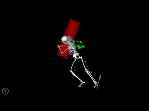 Tackling Biomechanics - Cervical Spine Injury Mechanisms Analysis