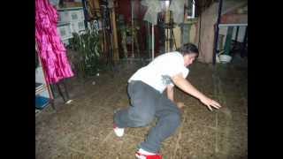 Cancion manos unidas 2013