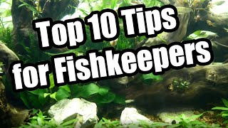 Top 10 Things I Learned My First Year Fishkeeping