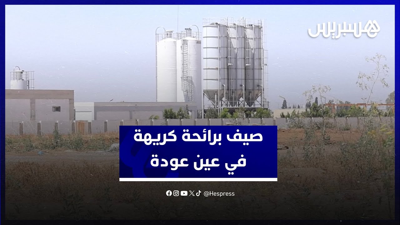 صيف برائحة كريهة في عين عودة..  السكان يشتكون الروائح المنبعثة من محطة معالجة المياه العادمة thumbnail