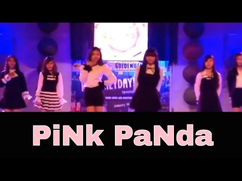 150131: Apink CG - Pink Panda