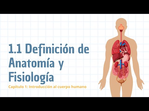 Definición de anatomía y fisiología