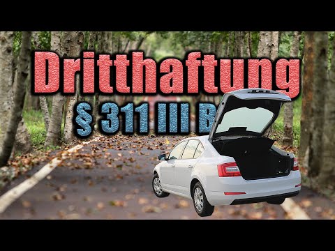 Dritthaftung, § 311 III BGB - Schuldrecht AT 46