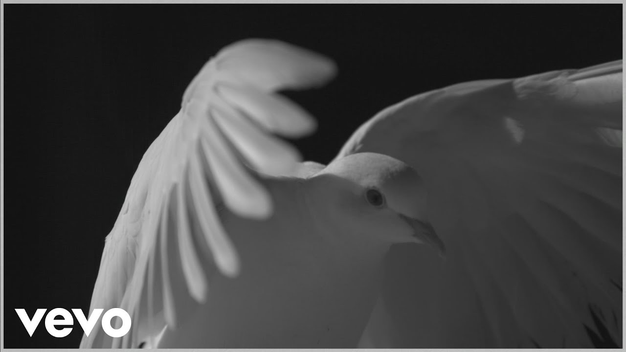 Miniature de la vidéo Les Enfoirés 2016 - Liberté (Clip officiel) du film Les Enfoirés 2016 - Au rendez-vous des Enfoirés