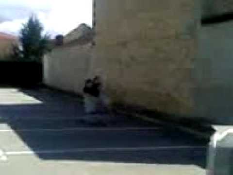 (jackass a carrefour de duniere