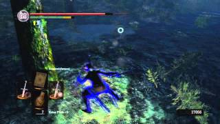 Dark Souls: Dual Wielding Straight Swords