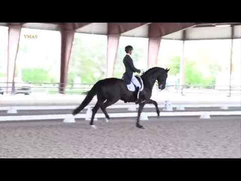 Juan Matute Guimón & Copernico Ymas. Prix St. George - 75.6%. Wellington 2017