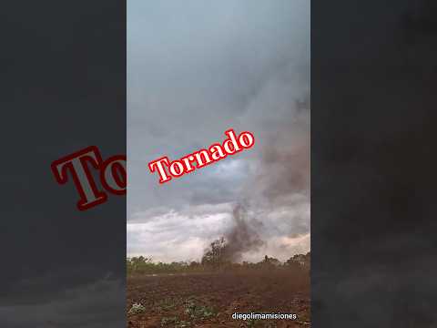 cómo fue el TORNADO que devastó zonas de Misiones y Brasil