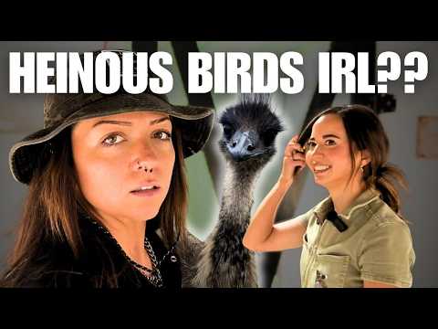 Getting Over My Bird Problem at Alveus Sanctuary | Lindsay Nikole