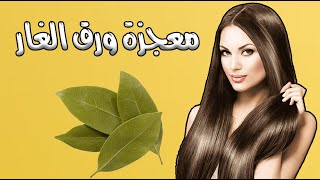 معجزة ورق الغار ستجعل بطنك ممسوحاً وشعركِ طويل كالحرير