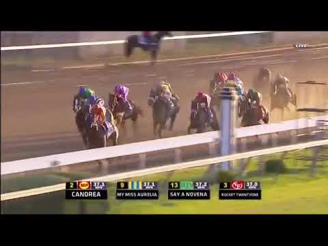 2011 Breeders Cup Juvenile Fillies (My Miss Aurelia)