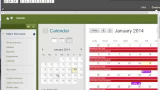 Blackboard Learn Overview