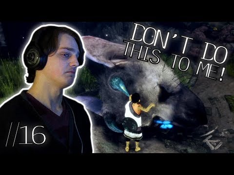 THE LAST GUARDIAN - An Old Friend - Part 16