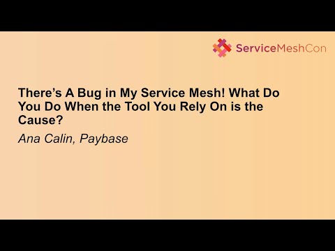 There’s A Bug in My Service Mesh! What Do You Do When the Tool You Rely On... Ana Calin & Risha Mars