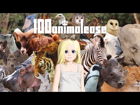 100animalease Video